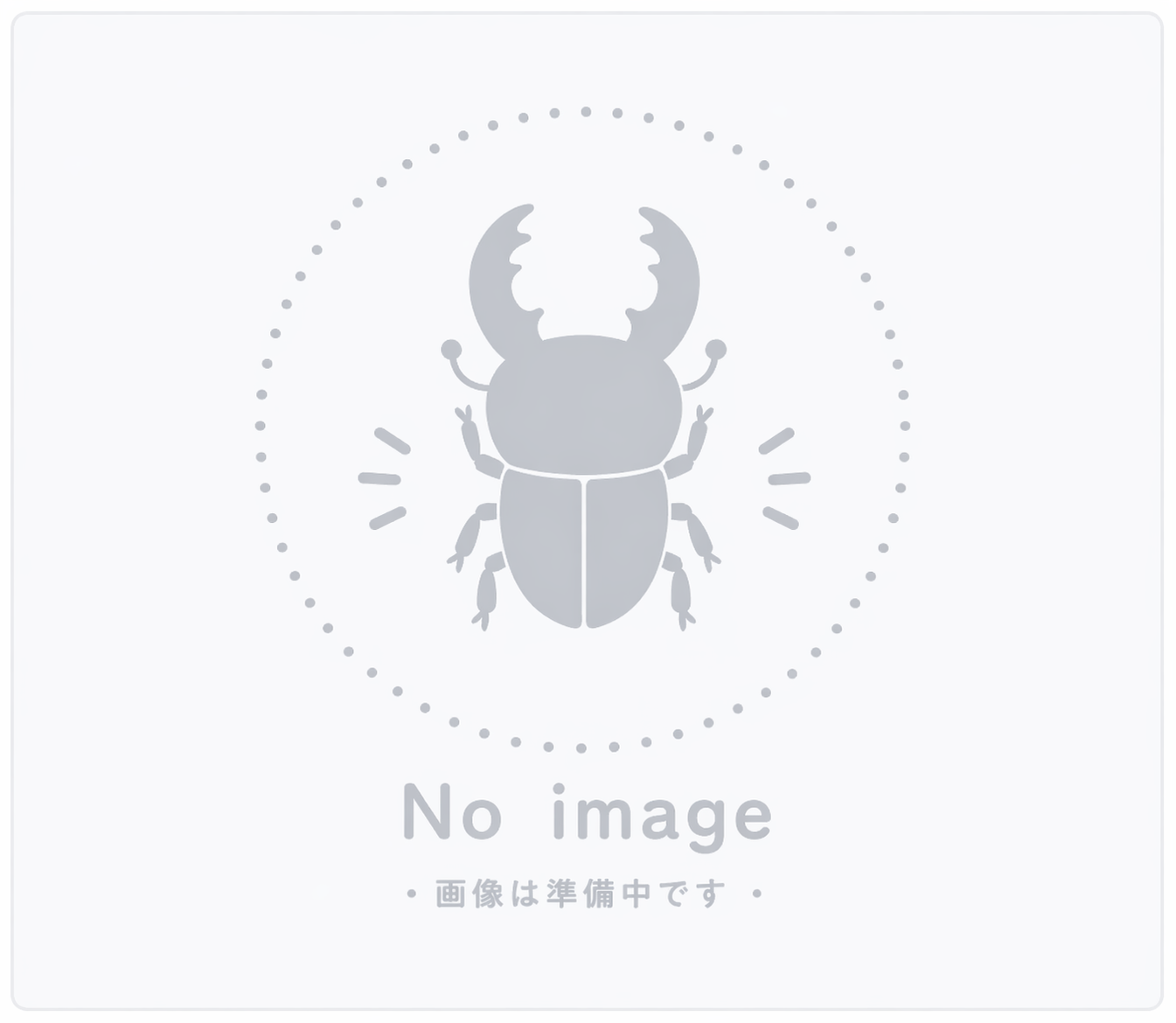 ネプチューンオオカブト